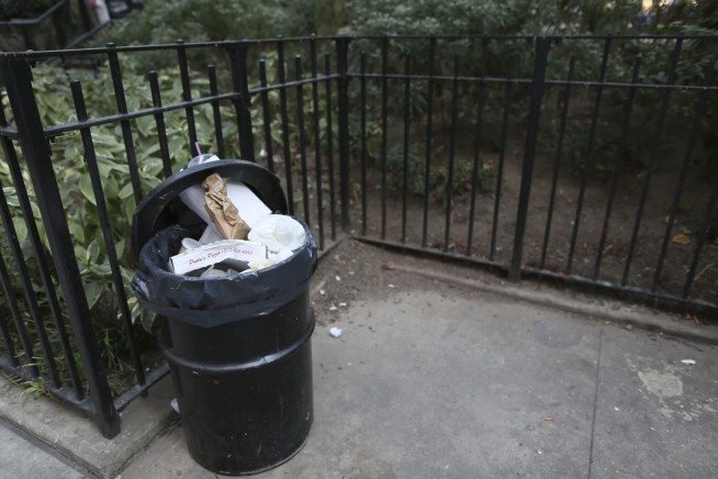 With trash bins now required in NYC, only the rats are sorry to see the garbage piles go