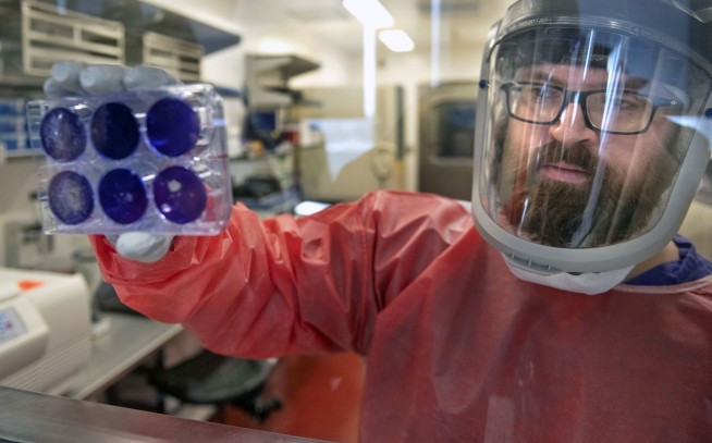 New virus has infected 83,000 globally, caused 2,800 deaths