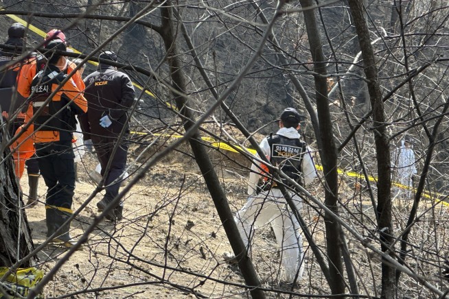 South Korean police plan to question man on suspicion of accidentally starting wildfire