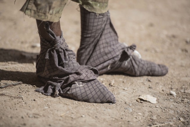 World's last wild frankincense forests are under threat