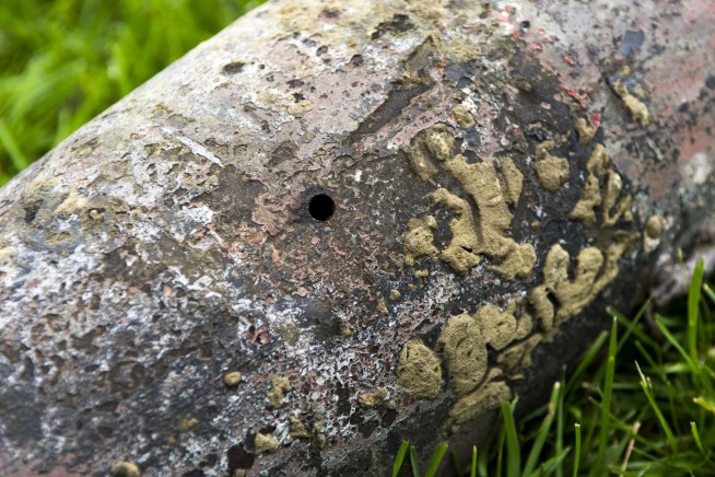 Girls discover World War I practice bomb in Michigan lake