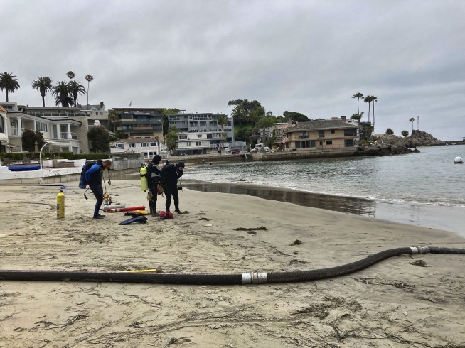 California nixing algae that crowds out food for sea animals