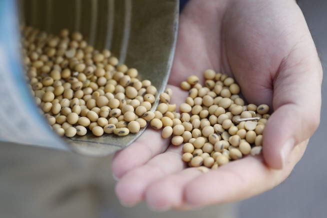 A hill of beans: Soybeans upstage trade talks