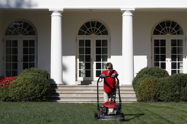 This week in odd news: 'Sewer war' and record-setting cats