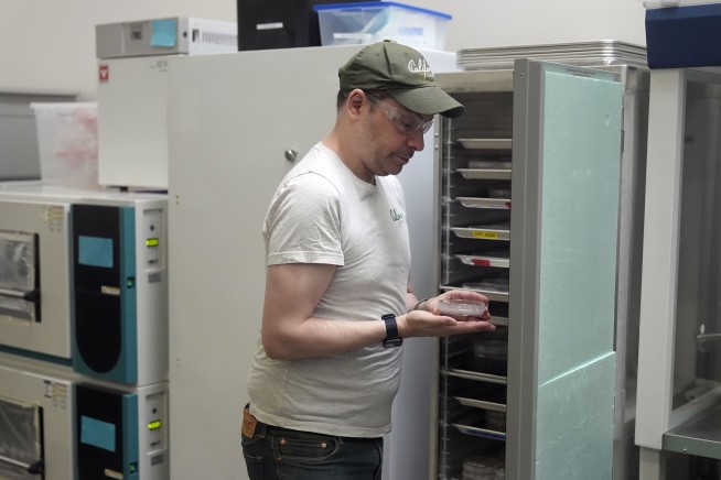 Companies are crafting new ways to grow cocoa, and chocolate alternatives, to keep up with demand