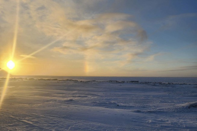 Polar bear emerged unseen from snowstorm to kill mom, son