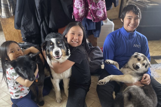 Pet arrives home, dog-tired, after Alaskan sea-ice odyssey