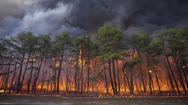 Man charged with arson after authorities say he sparked New Jersey Pine Barrens fire