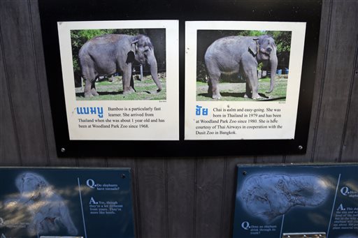Popular zoo elephants likely to get harder to see in future
