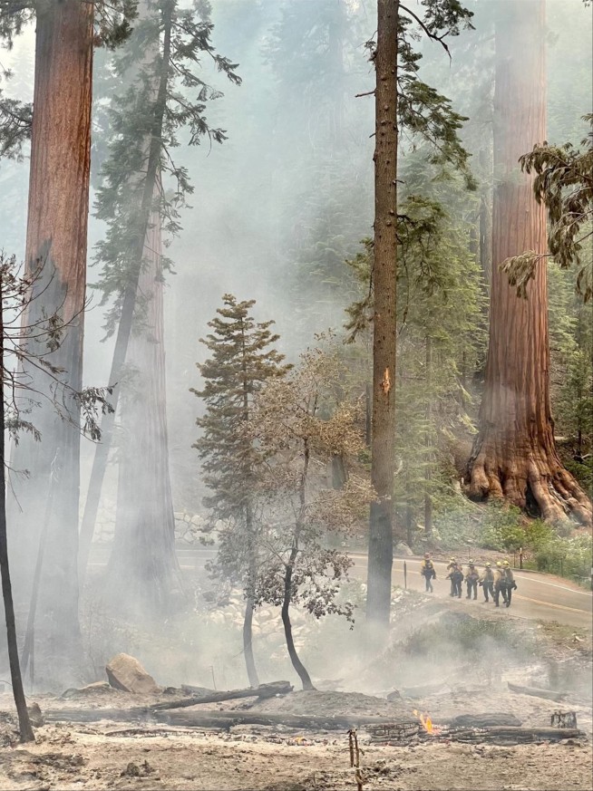 Yosemite wildfire threatens grove of iconic sequoia trees