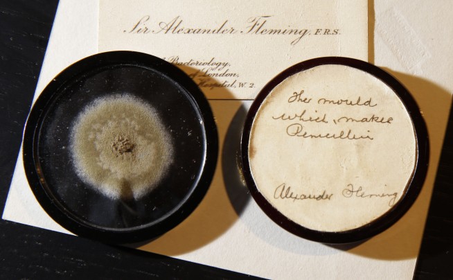 Old mold from penicillin discoverer auctioned for $14,617
