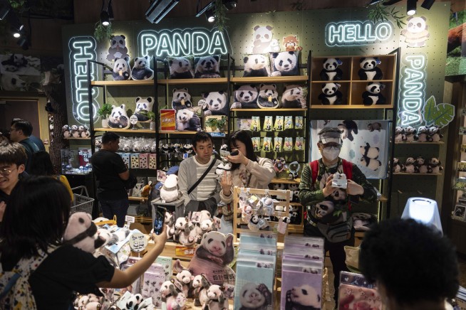 Hong Kong residents compete to name twin panda cubs who just turned 6 months old