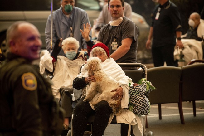 Wildfire destroys most of California town of Paradise