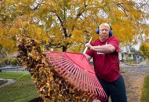 Scientists: Be Lazy, Don't Rake Leaves