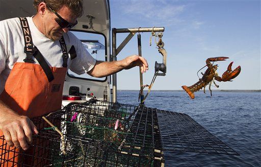 Cruise-Ship Diners: Tossing Lobsters Overboard?