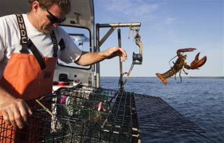 Cruise-Ship Diners: Tossing Lobsters Overboard?