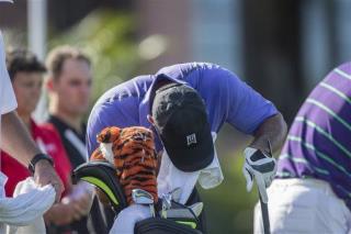 Tiger Pukes on Course, Toughs It Out