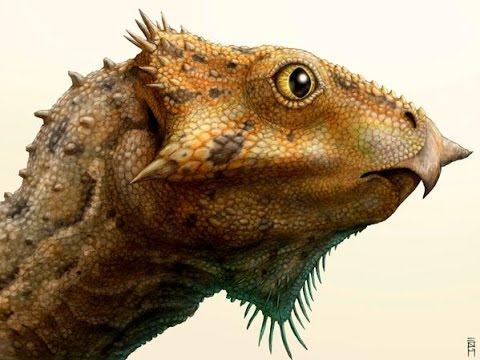N. America's Oldest Horned Dino Was Size of Bunny