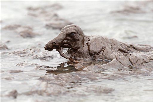 BP May Have to Pony Up $14B for Oil Spill