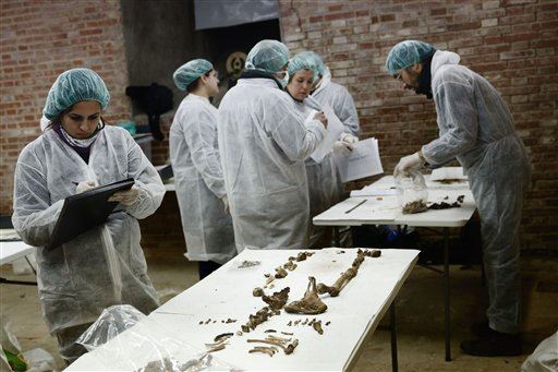 Bones Examined in Hunt for Cervantes' Remains