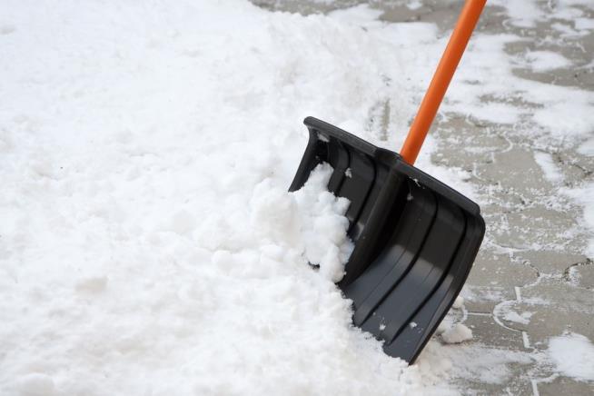 Workers Shovel All Winter So Widower Can Honor Wife
