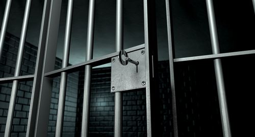 Scantily Clad Women Commit Prison Break: Police