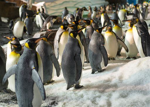 To Avoid Falling on Ice, Do as Penguins Do