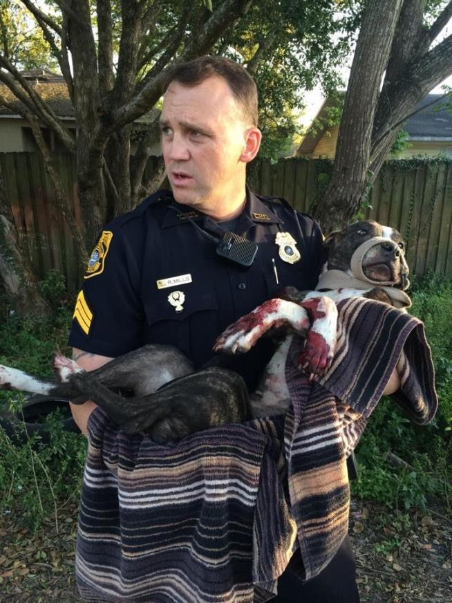 Cops Save Dog That Was Shot, Tied to Tracks