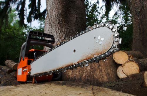 Montana Fight Includes ... Chainsaw