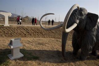 Science Just Got Closer to Elephant-Mammoth Hybrid