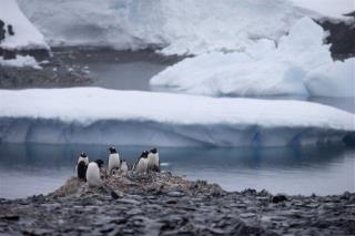 Antarctica May Have Hit Its Highest Temperature Ever
