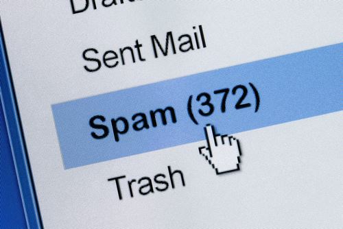 Bee Scientist Finds $140K Email—in His Spam Folder