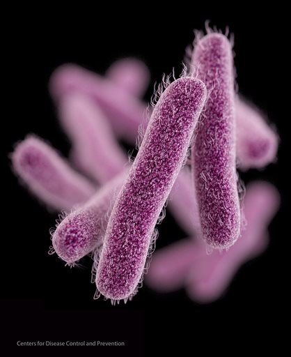 Drug-Resistant Diarrhea Bug Spreads in US