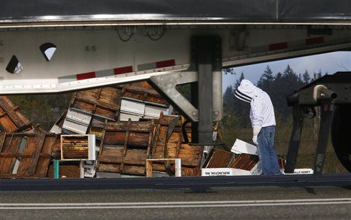 Truck Flips, Unleashes Millions of Bees on Highway