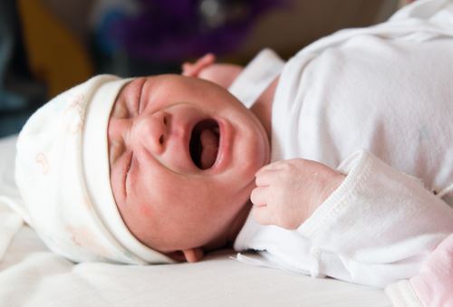 Babies Feel Pain Same as Adults Do