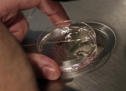 In a Risky First, Scientists Edit Human Embryos' DNA