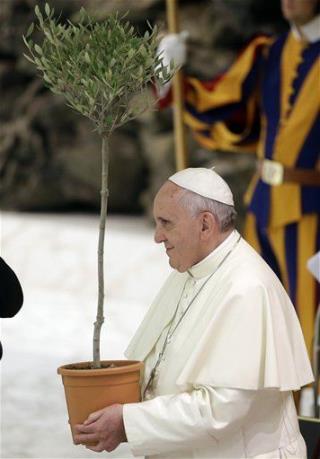 Conservatives: Pope 'Misled' on Climate Change