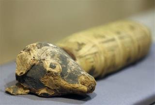 Many of Egypt's Animal Mummies Are Really ... Nothing