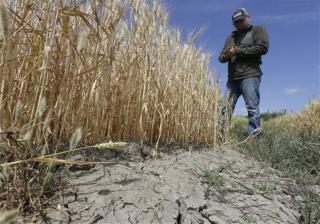 Another Bad Milestone for California's Drought