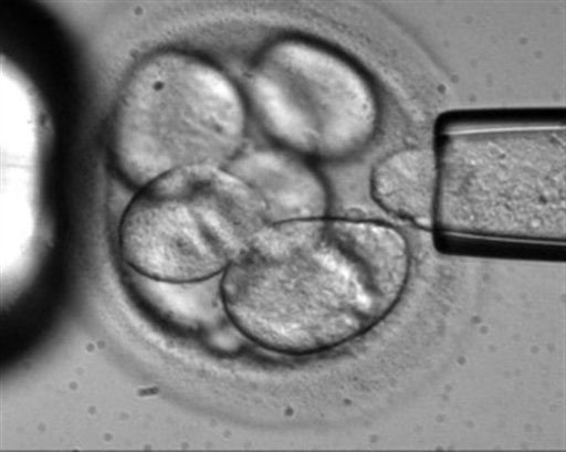 Court: Woman Can Use Embryos Over Ex's Objections