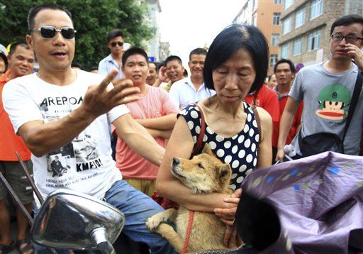 Woman Saves 100 Dogs From Dog-Meat Festival