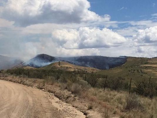 Cyclist's Toilet Stop Blamed for Wildfire