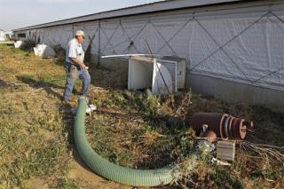 Father, Son Lose Lives to Manure Pit's Deadly Gases