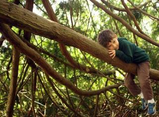 Study: Climbing a Tree Is Good for Your Brain
