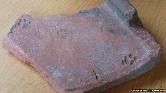 Ancient Cat Paw Prints Found on Roman Roof Tile
