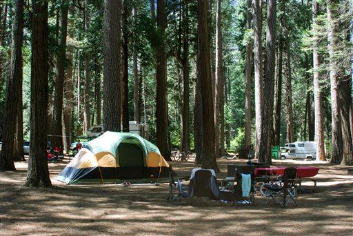 2 Kids Killed by Falling Branch at Yosemite Camp