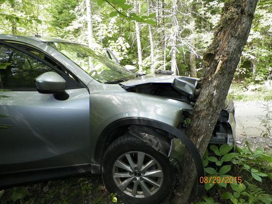 Man's Selfie Ends With Car in Tree, Friends in Hospital