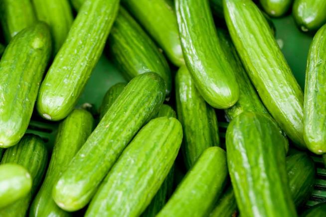 Cucumbers Suspected in Deadly Salmonella Outbreak