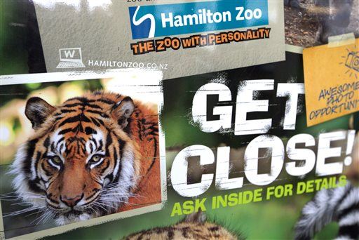 Zoo Spares Tiger That Killed Keeper