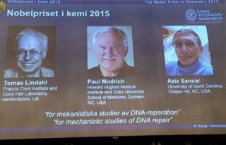 American Shares Chemistry Nobel for DNA Repair